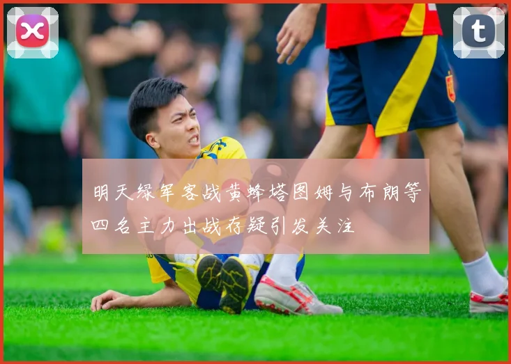 明天绿军客战黄蜂塔图姆与布朗等四名主力出战存疑引发关注